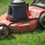 lawn care services