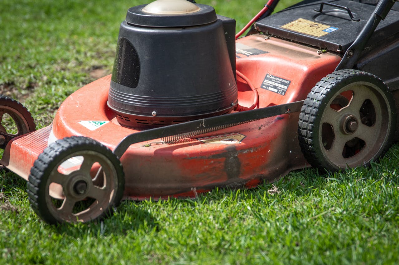 lawn care services